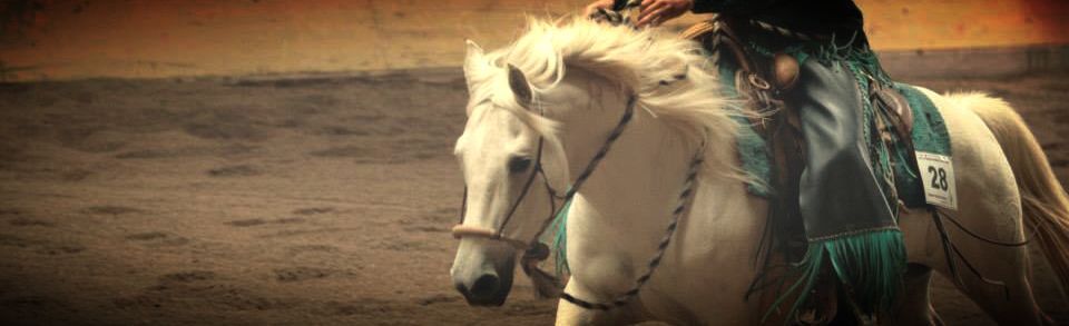 Swiss Ranch Horse Association - SRHA