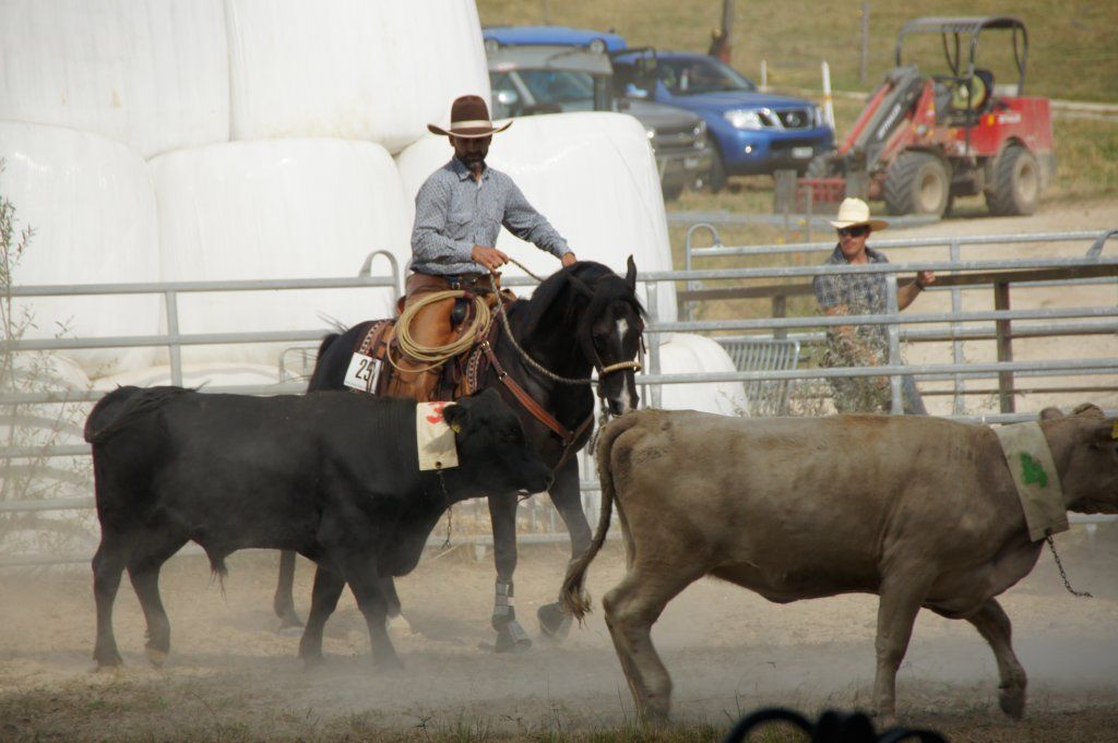Swiss Ranch Horse Association - SRHA