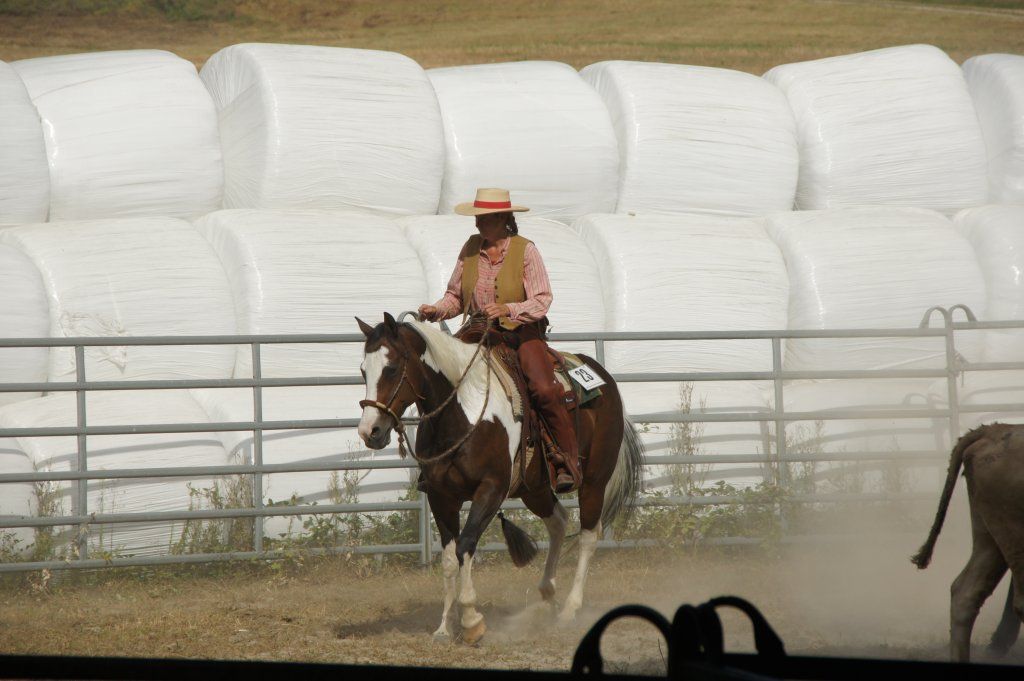 Swiss Ranch Horse Association - SRHA