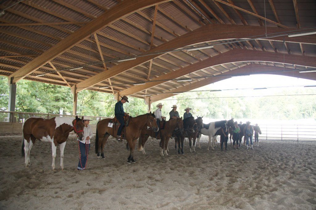 Swiss Ranch Horse Association - SRHA
