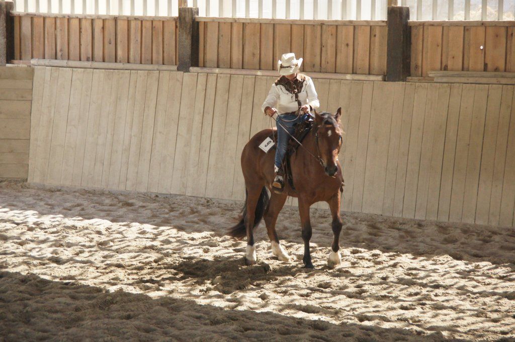 Swiss Ranch Horse Association - SRHA
