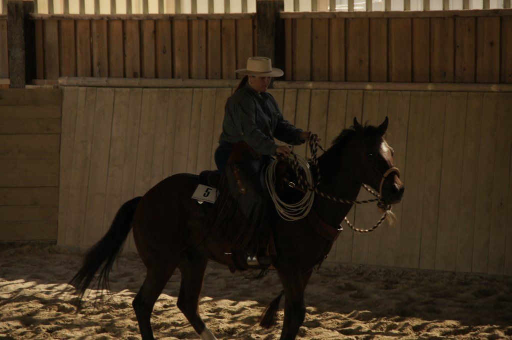 Swiss Ranch Horse Association - SRHA