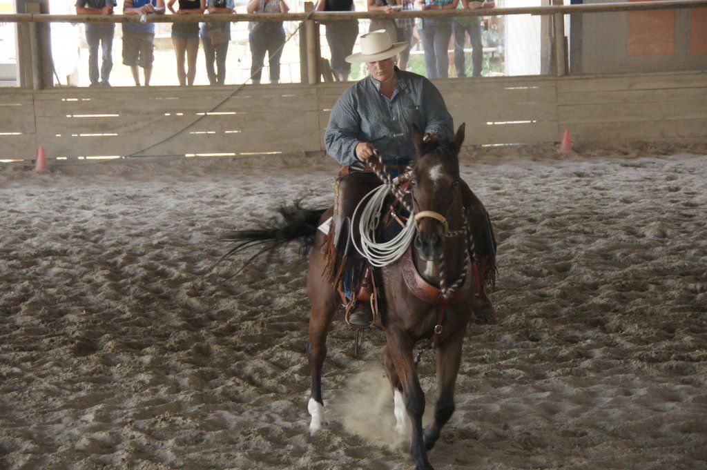 Swiss Ranch Horse Association - SRHA