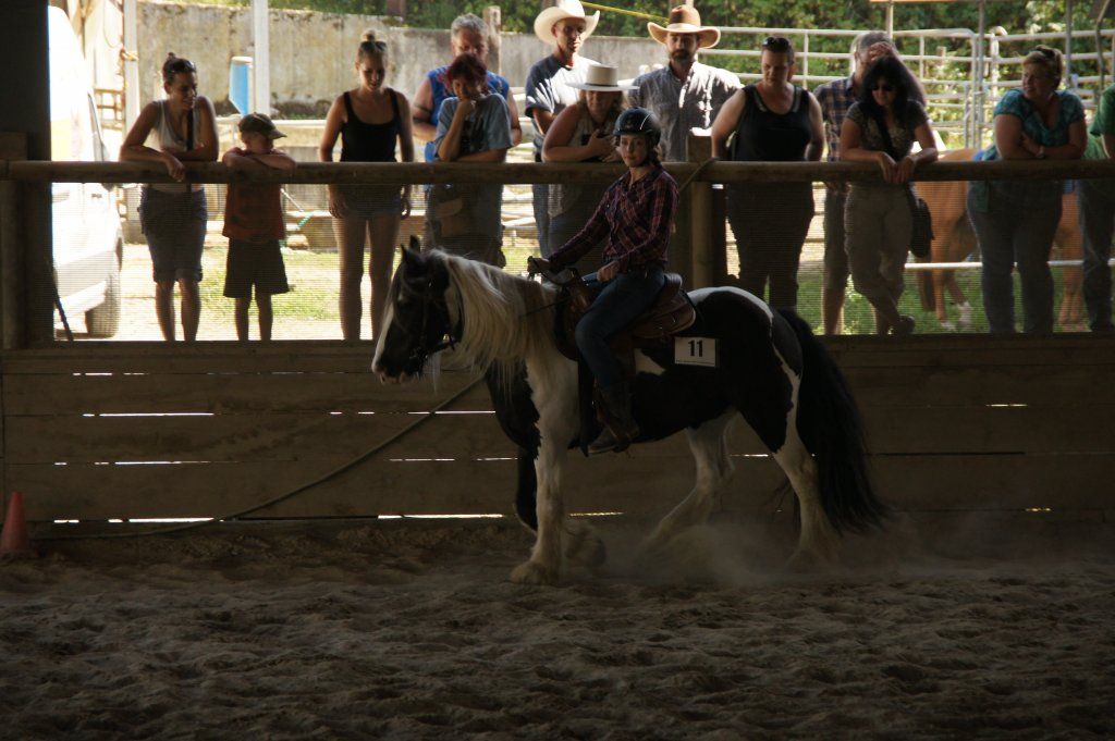 Swiss Ranch Horse Association - SRHA