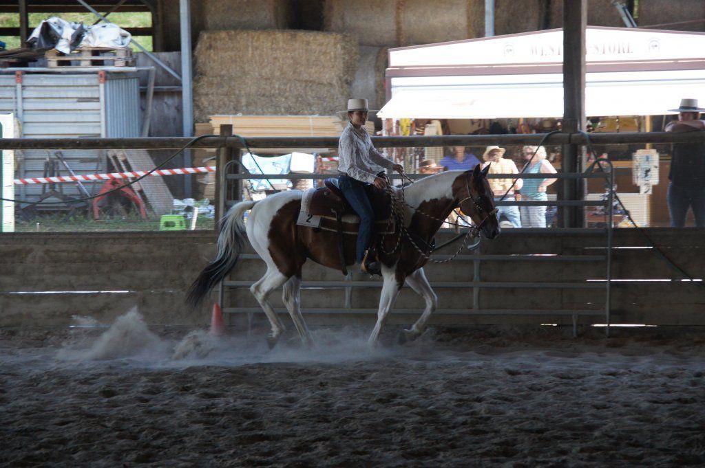 Swiss Ranch Horse Association - SRHA