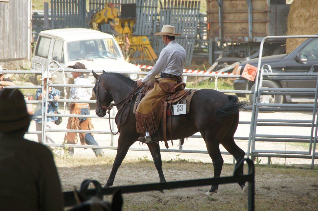 Swiss Ranch Horse Association - SRHA