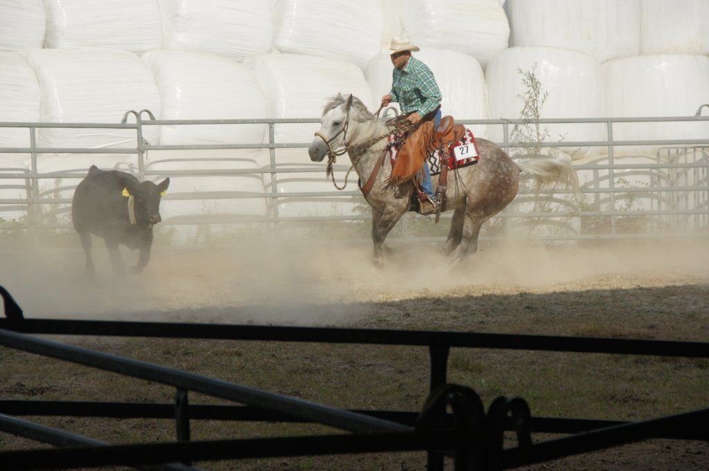 Swiss Ranch Horse Association - SRHA