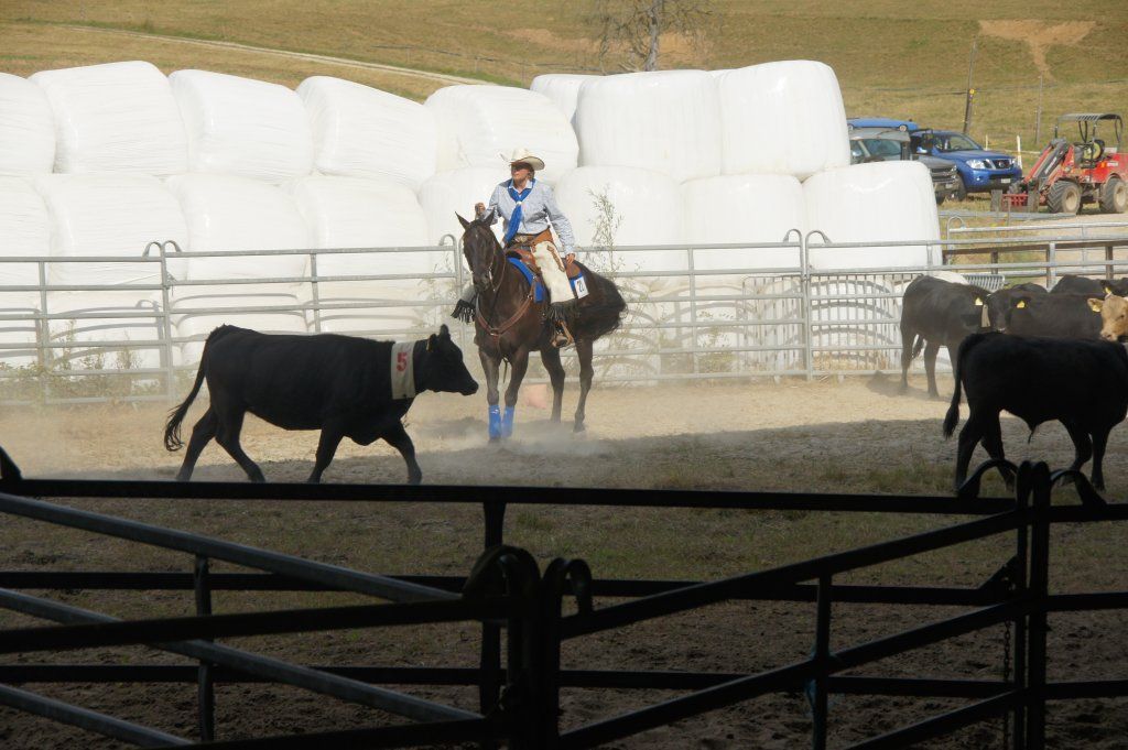 Swiss Ranch Horse Association - SRHA
