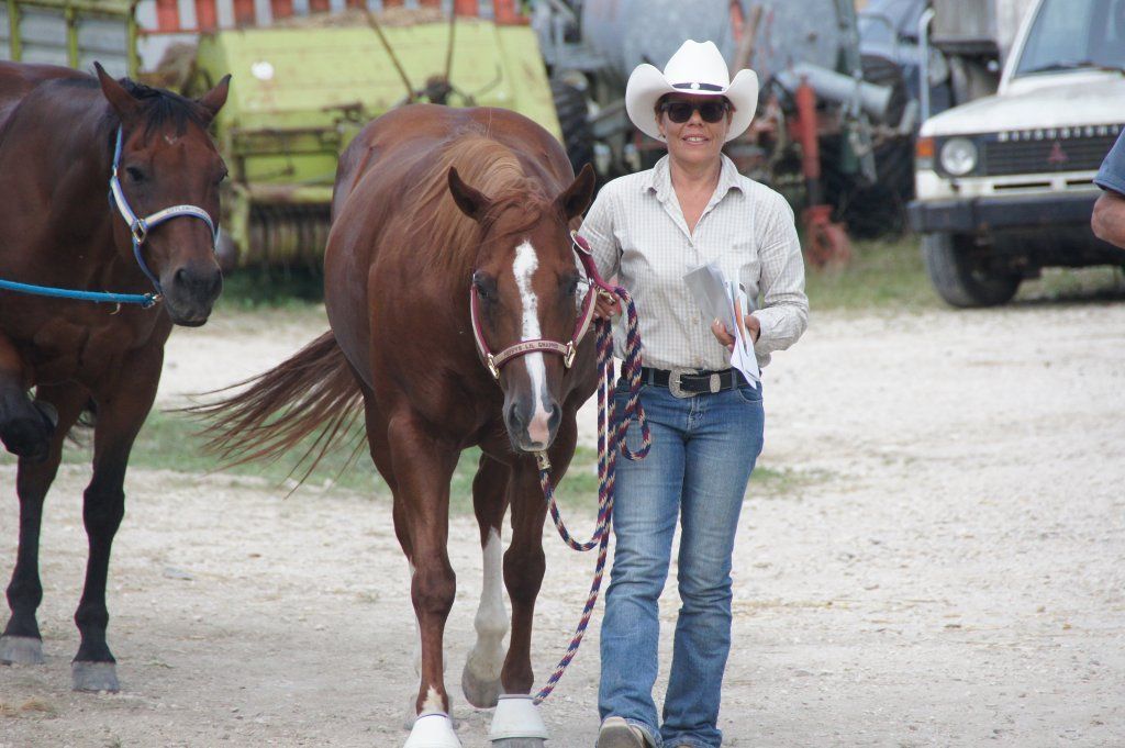 Swiss Ranch Horse Association - SRHA