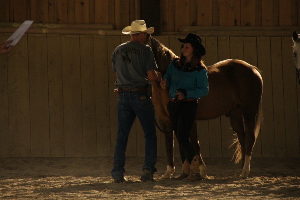 Swiss Ranch Horse Association - SRHA