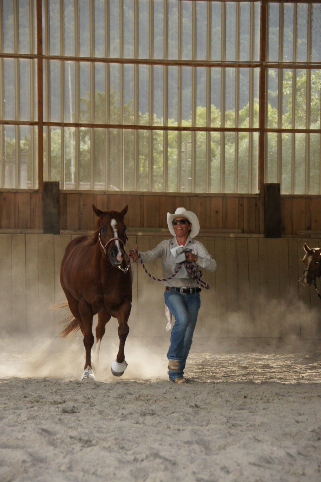 Swiss Ranch Horse Association - SRHA