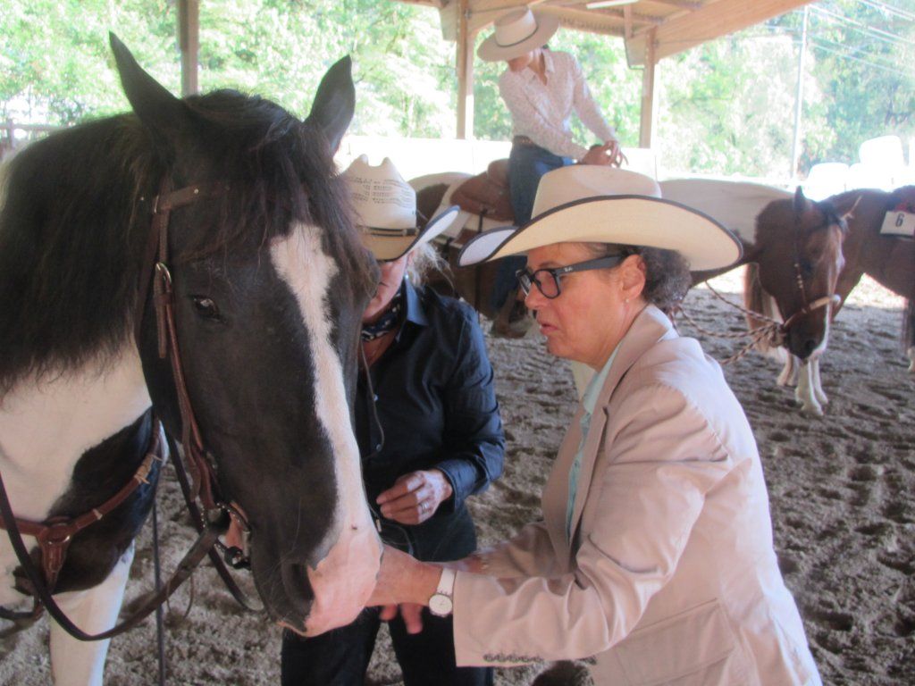 Swiss Ranch Horse Association - SRHA