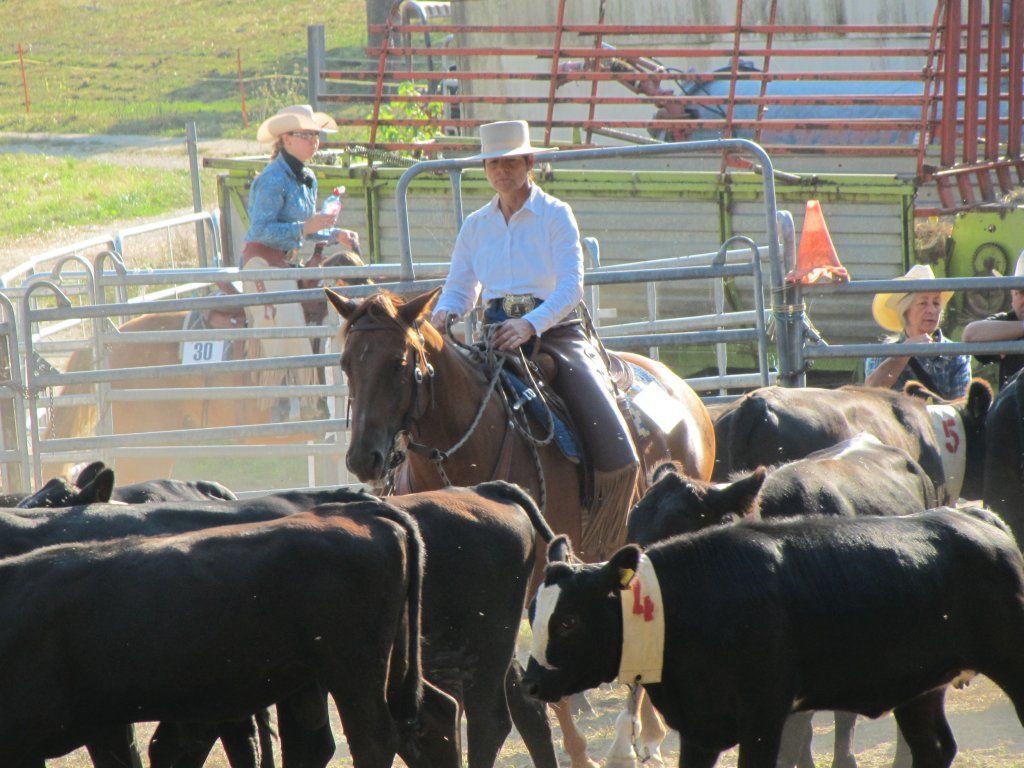 Swiss Ranch Horse Association - SRHA