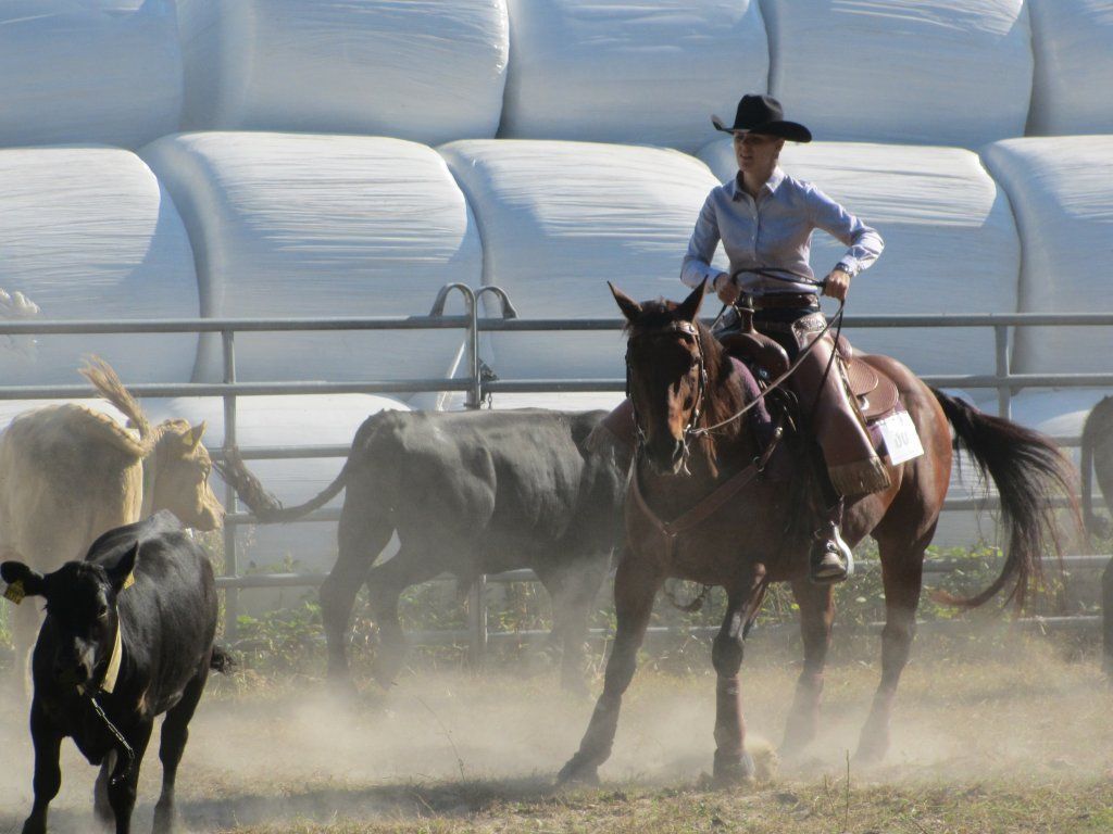 Swiss Ranch Horse Association - SRHA
