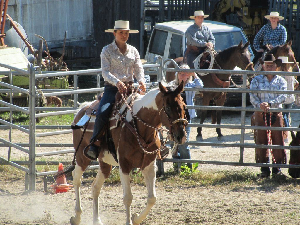 Swiss Ranch Horse Association - SRHA