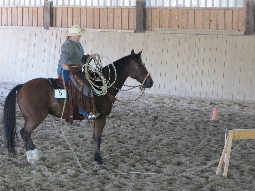 Swiss Ranch Horse Association - SRHA