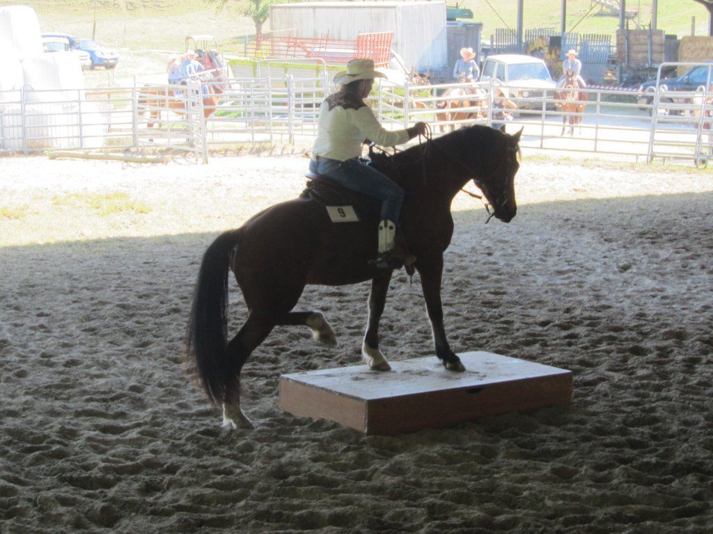 Swiss Ranch Horse Association - SRHA