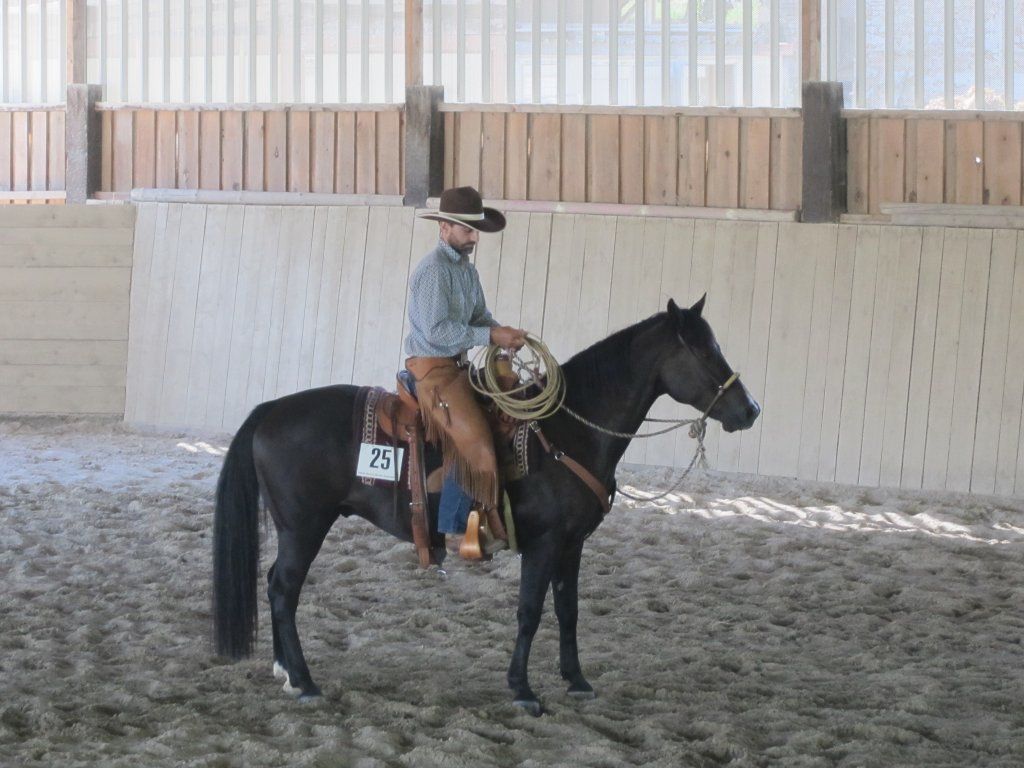 Swiss Ranch Horse Association - SRHA