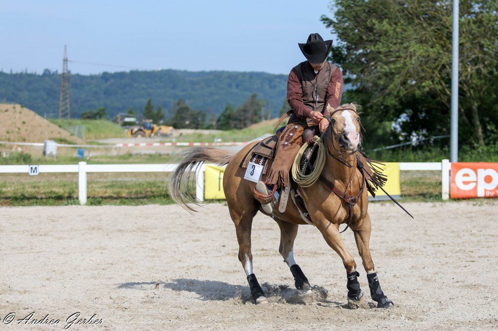 Swiss Ranch Horse Association - SRHA
