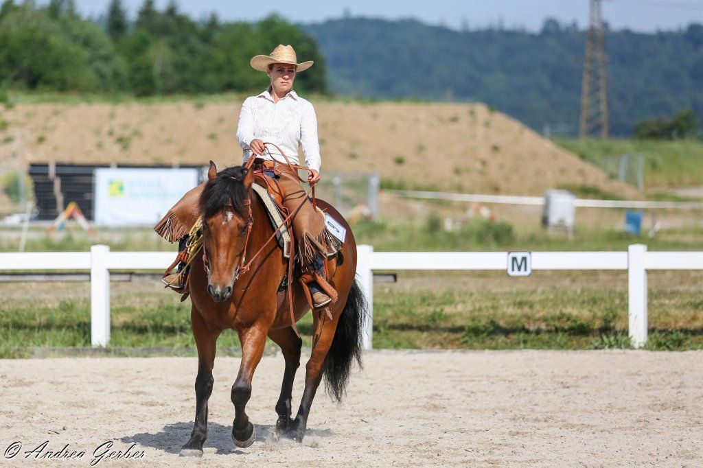 Swiss Ranch Horse Association - SRHA
