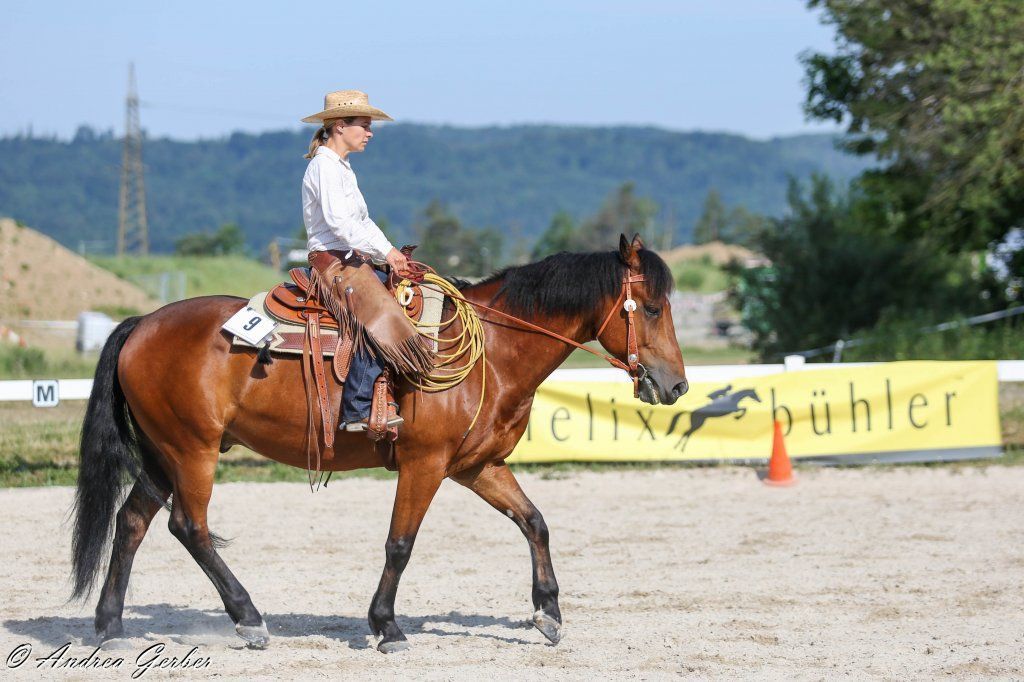 Swiss Ranch Horse Association - SRHA