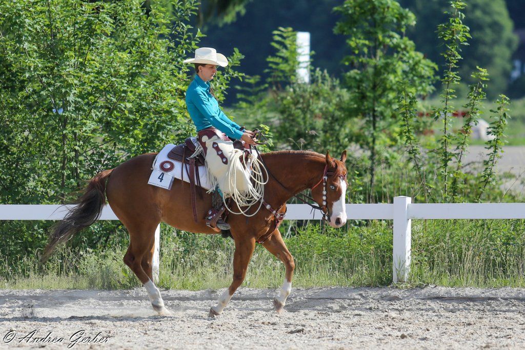 Swiss Ranch Horse Association - SRHA