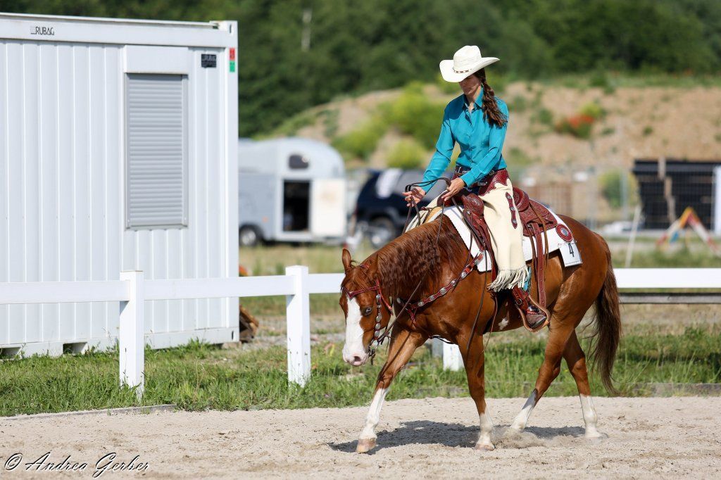 Swiss Ranch Horse Association - SRHA