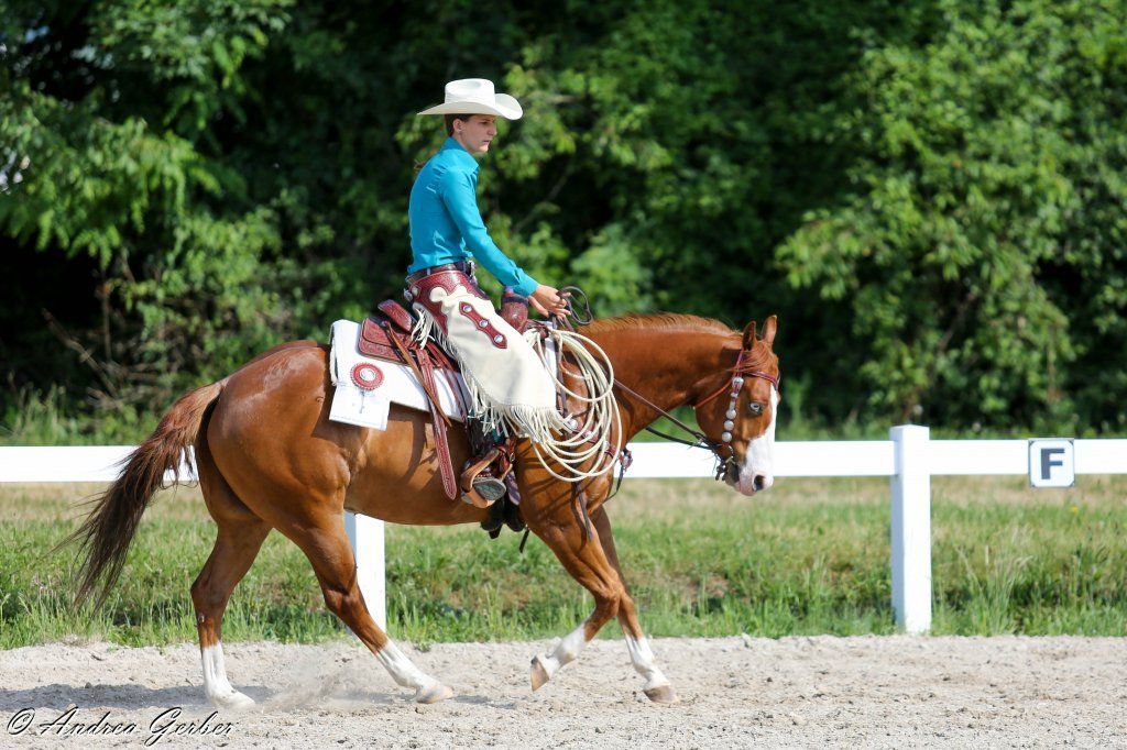 Swiss Ranch Horse Association - SRHA