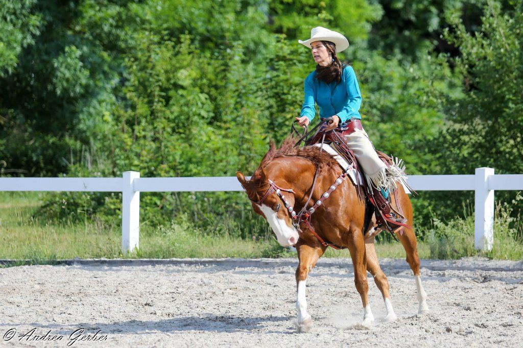 Swiss Ranch Horse Association - SRHA