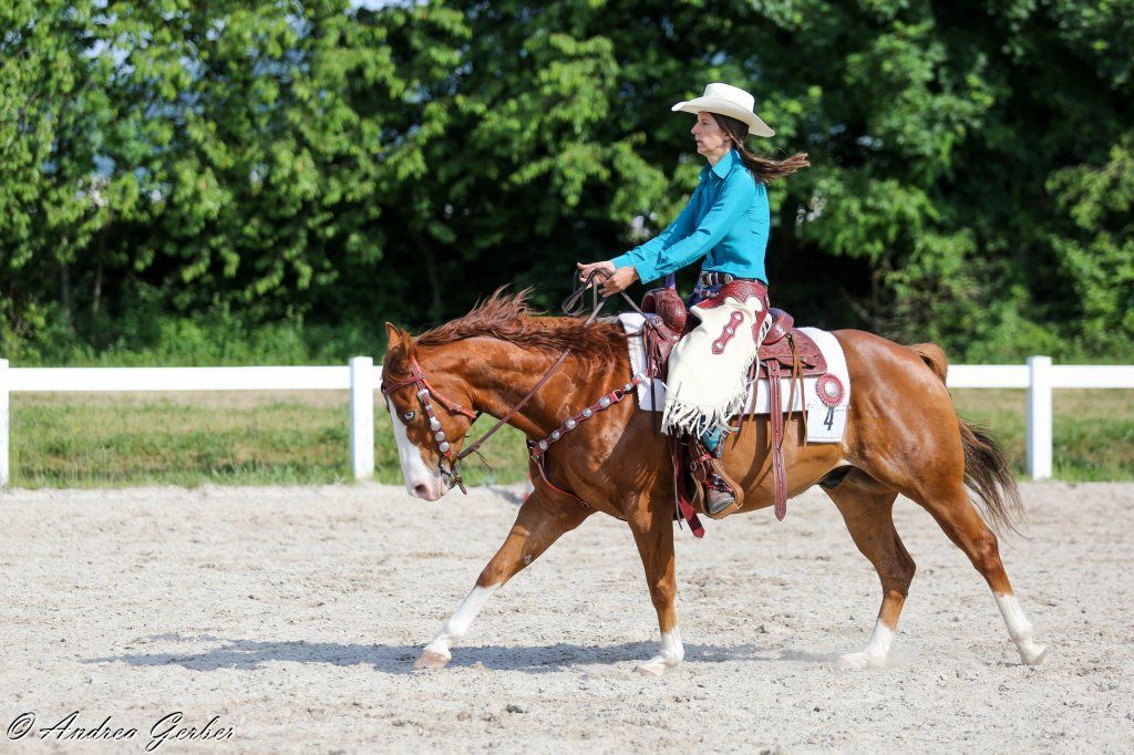 Swiss Ranch Horse Association - SRHA