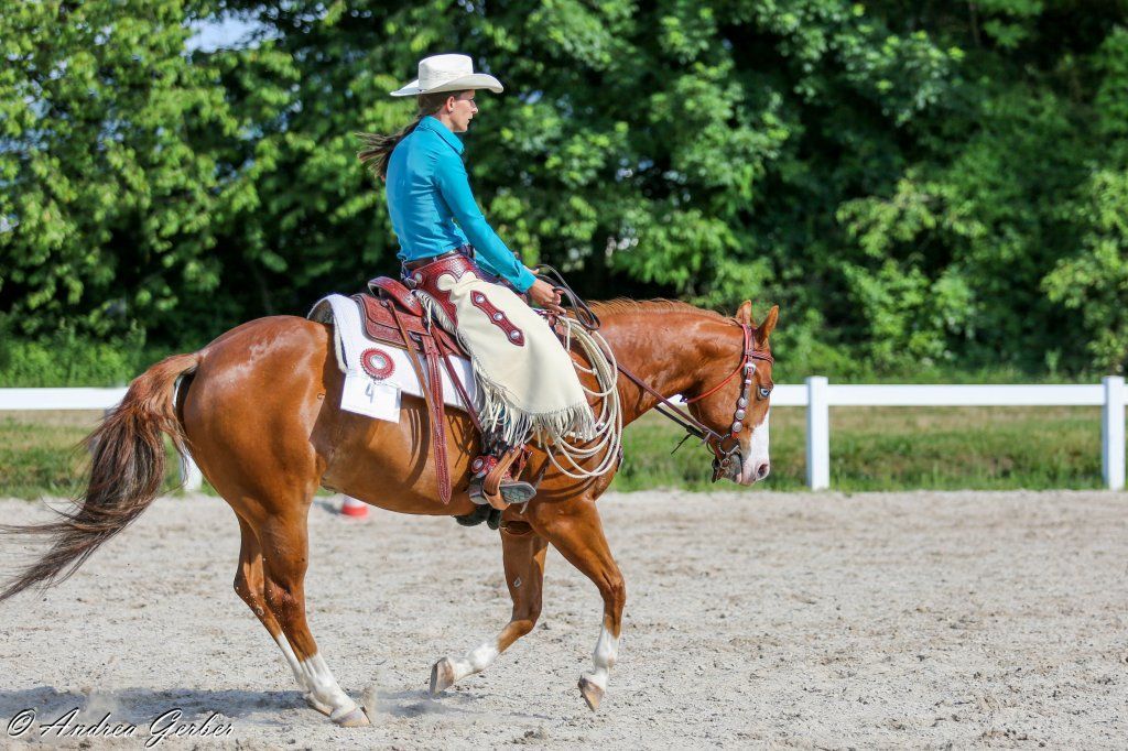 Swiss Ranch Horse Association - SRHA