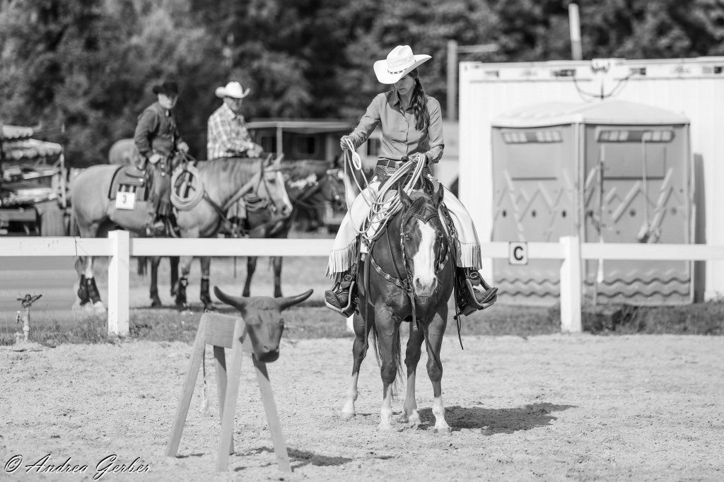 Swiss Ranch Horse Association - SRHA