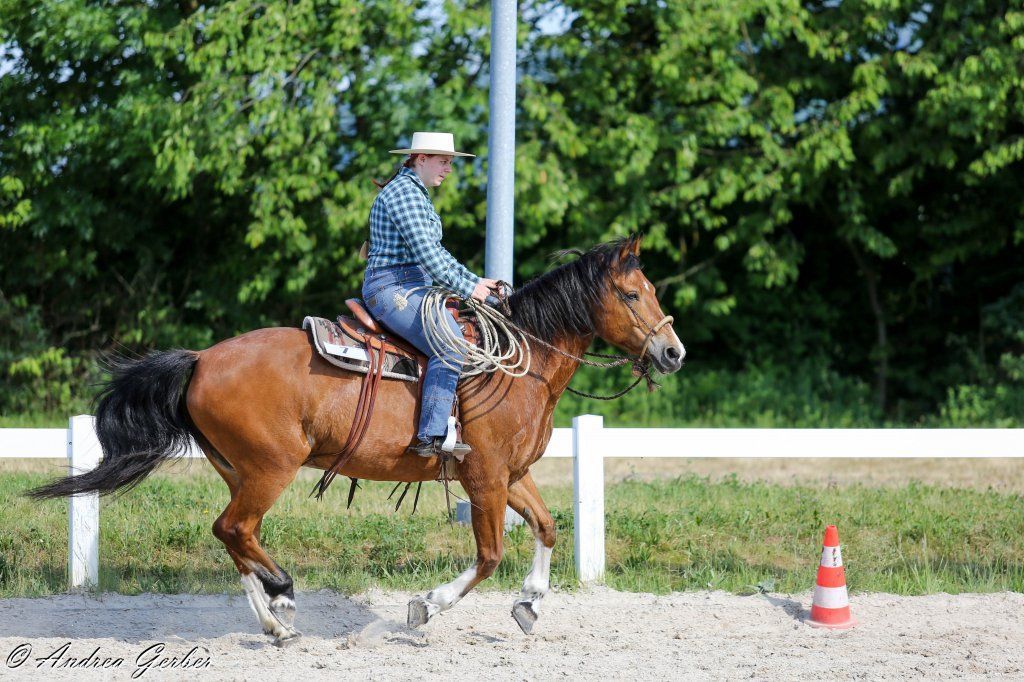 Swiss Ranch Horse Association - SRHA