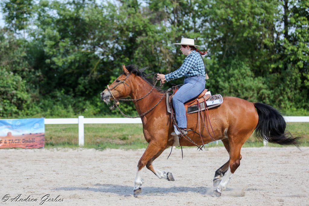 Swiss Ranch Horse Association - SRHA