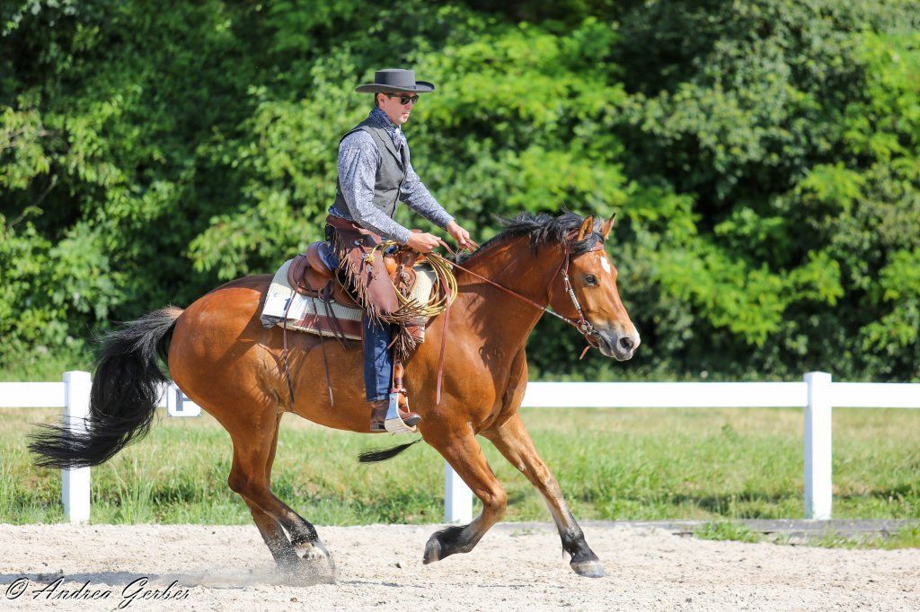 Swiss Ranch Horse Association - SRHA