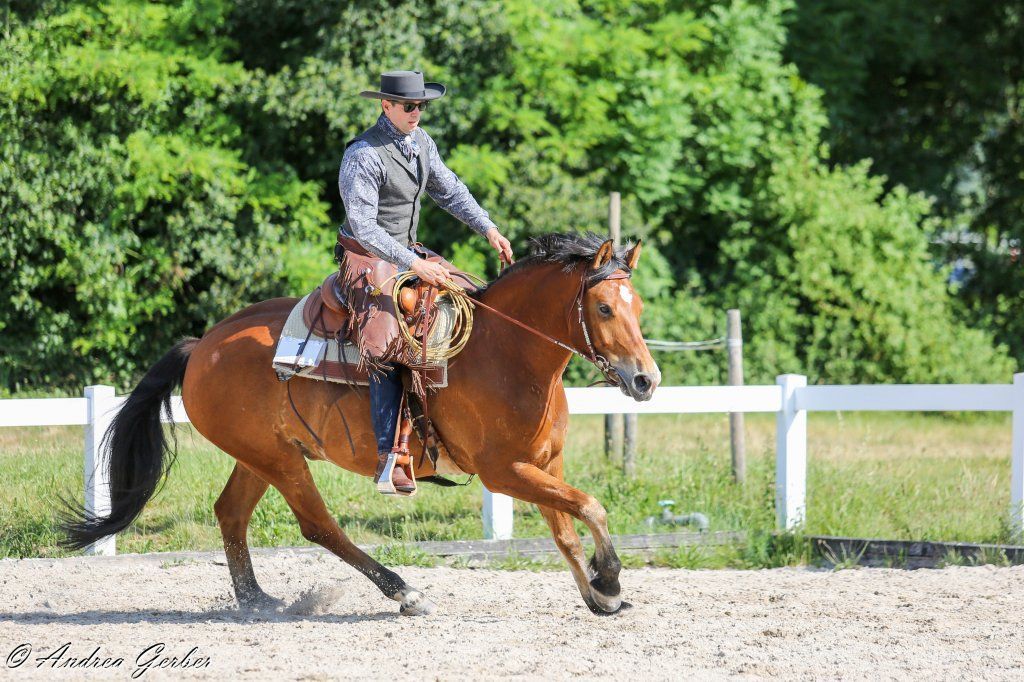 Swiss Ranch Horse Association - SRHA