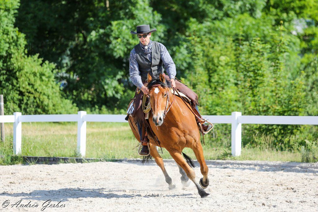 Swiss Ranch Horse Association - SRHA