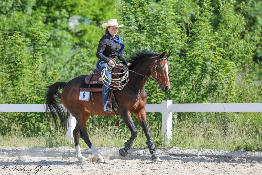 Swiss Ranch Horse Association - SRHA