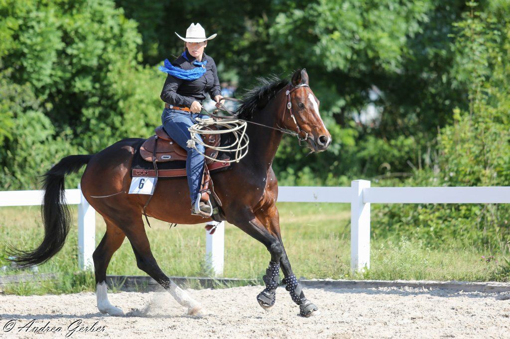 Swiss Ranch Horse Association - SRHA