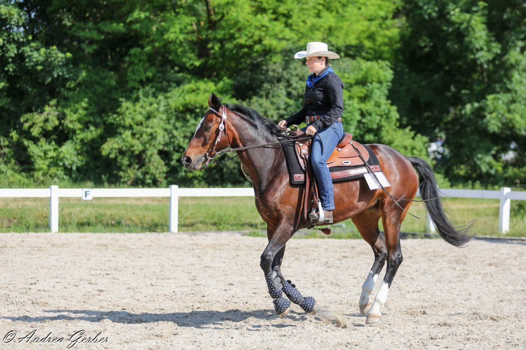 Swiss Ranch Horse Association - SRHA