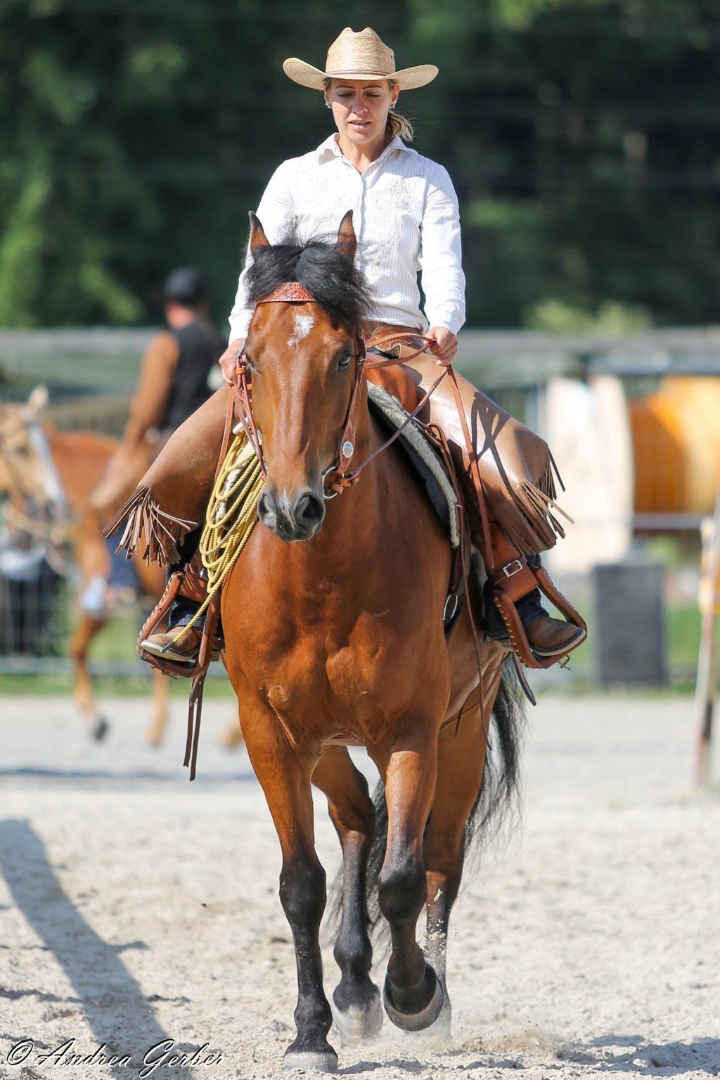 Swiss Ranch Horse Association - SRHA