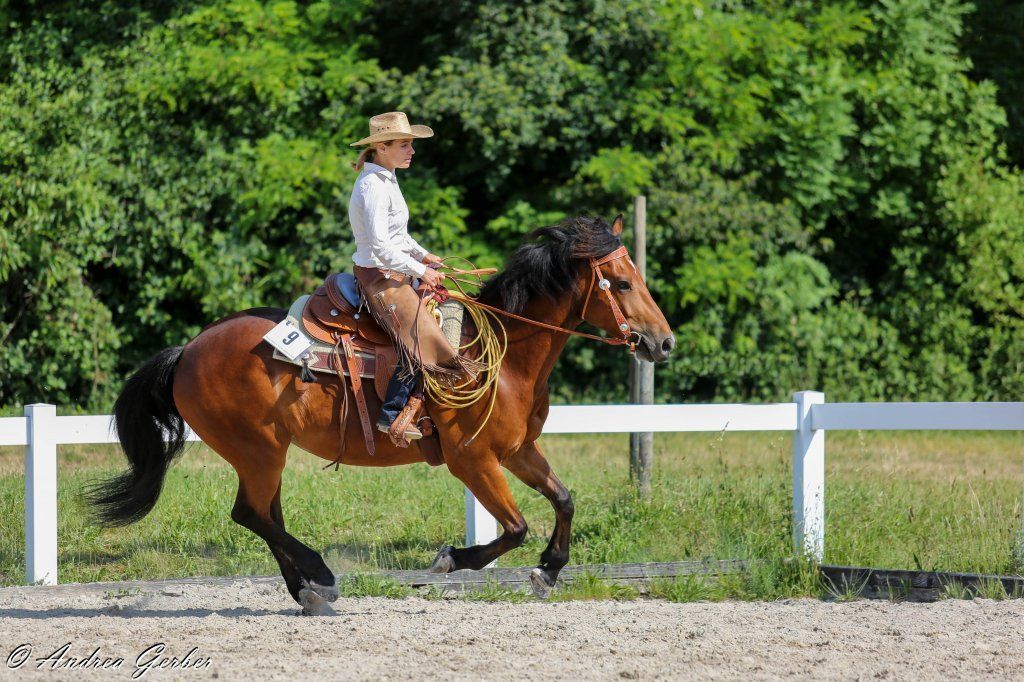 Swiss Ranch Horse Association - SRHA