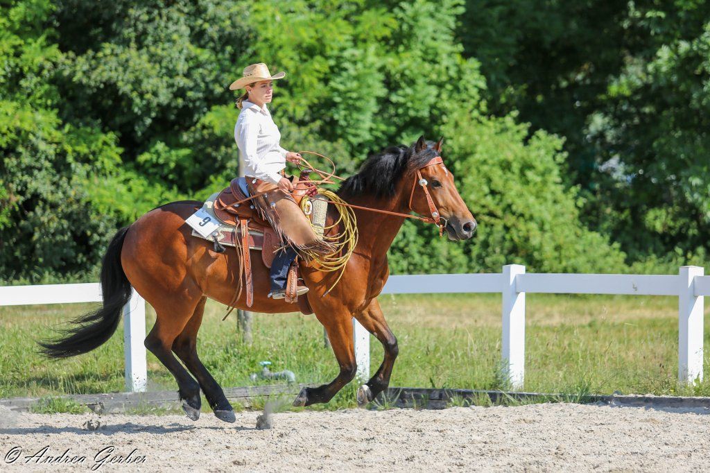 Swiss Ranch Horse Association - SRHA