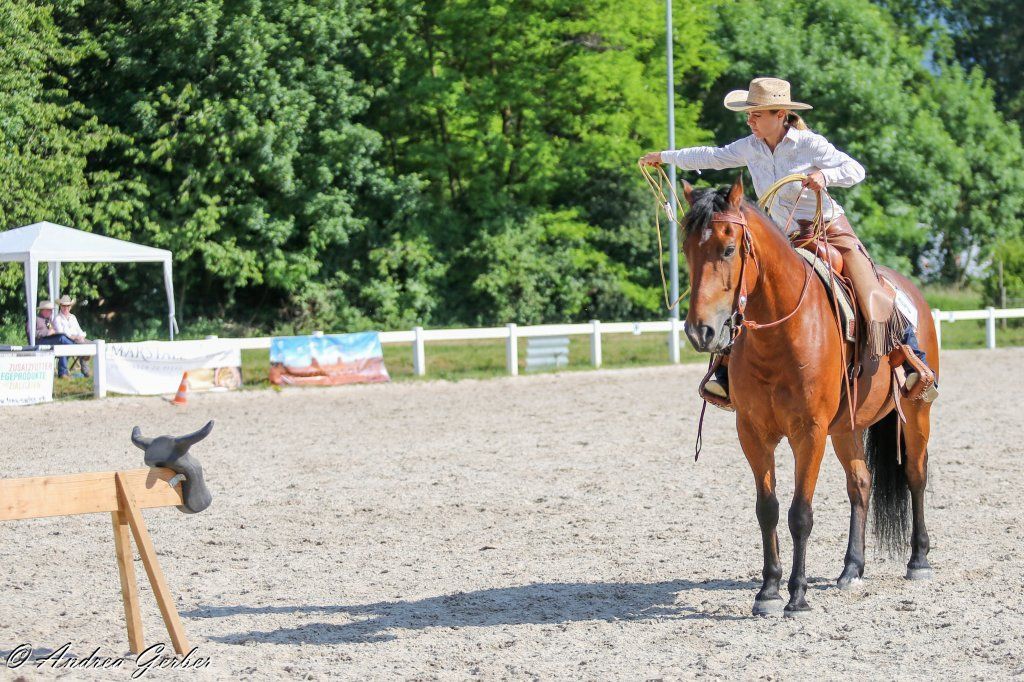 Swiss Ranch Horse Association - SRHA