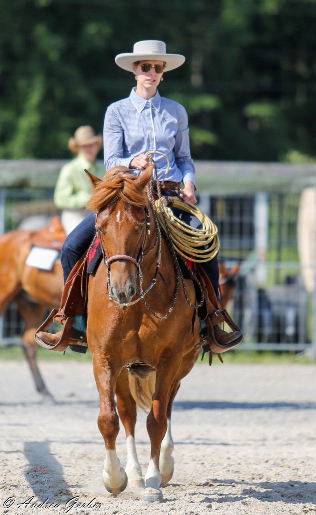 Swiss Ranch Horse Association - SRHA