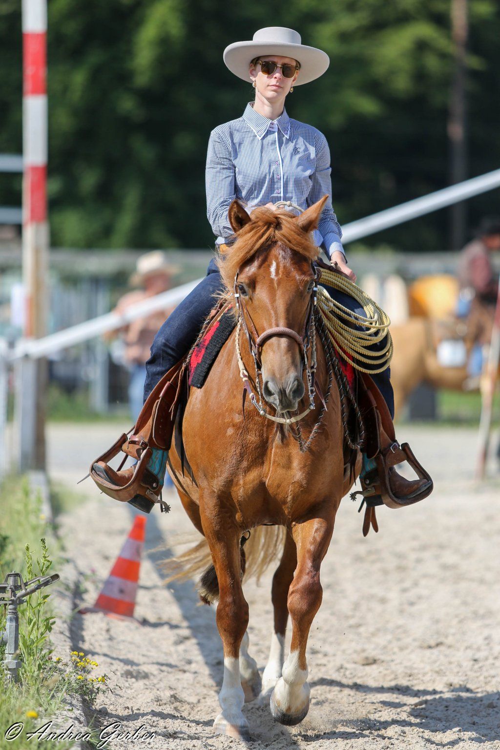 Swiss Ranch Horse Association - SRHA