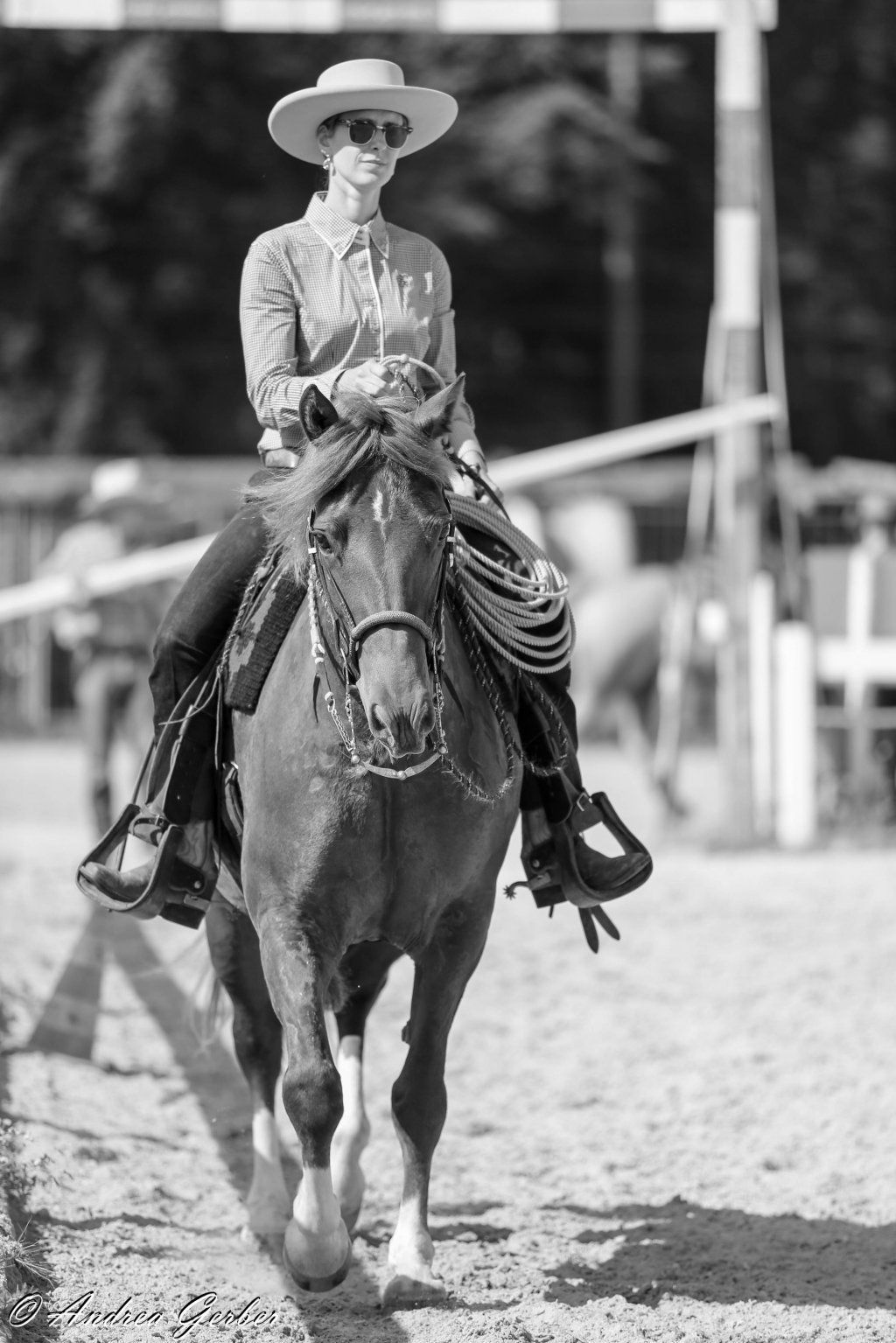 Swiss Ranch Horse Association - SRHA