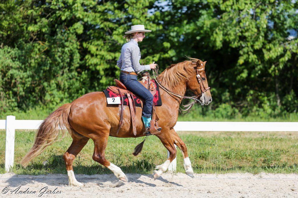 Swiss Ranch Horse Association - SRHA