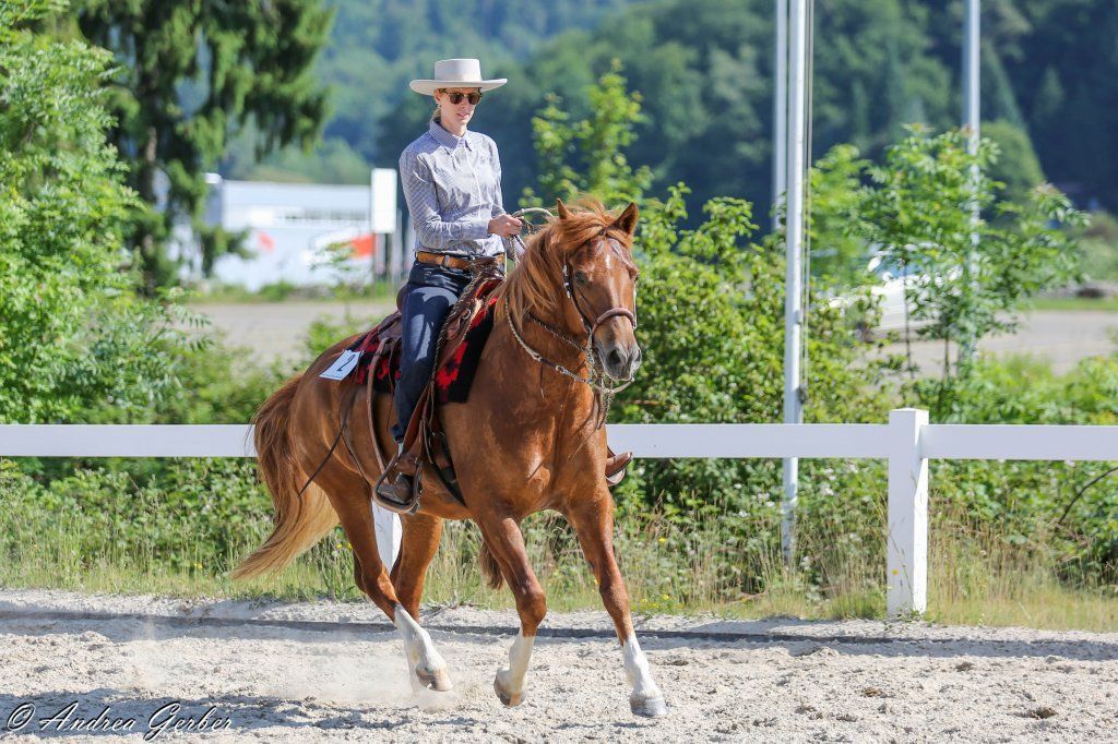 Swiss Ranch Horse Association - SRHA