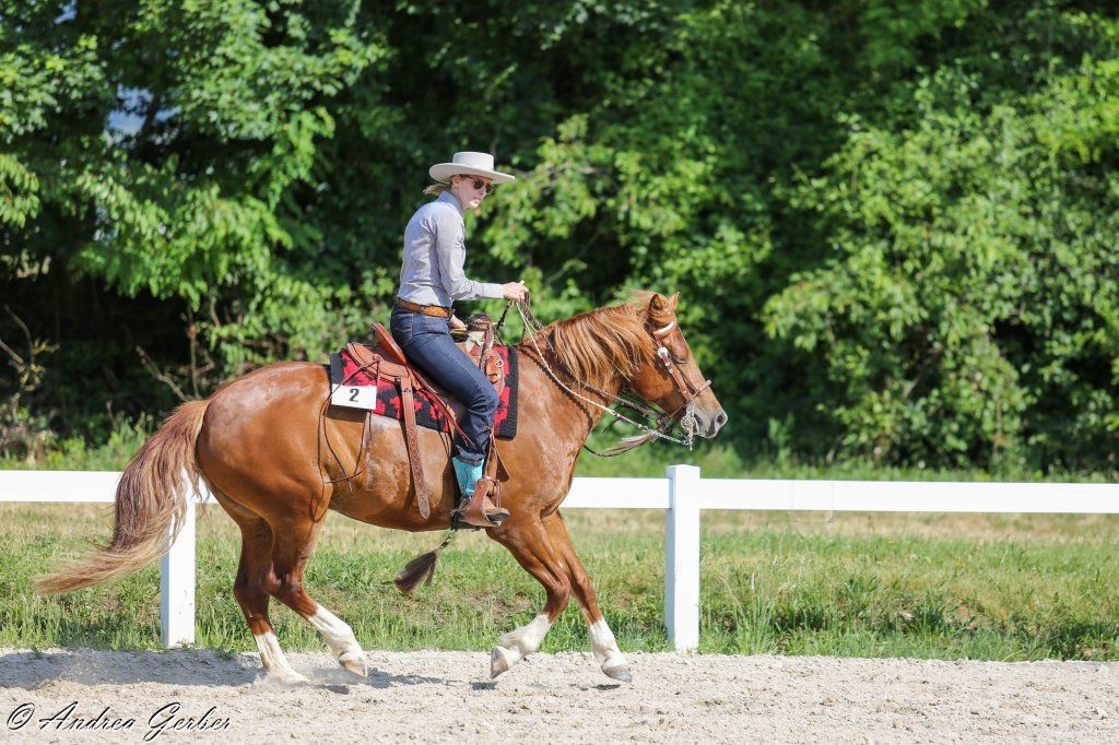 Swiss Ranch Horse Association - SRHA